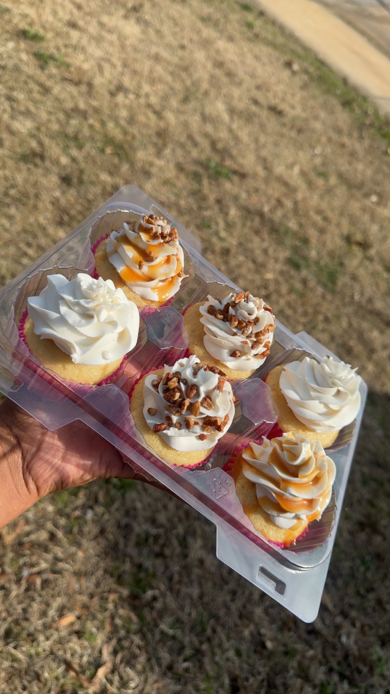 Custom Cupcakes-