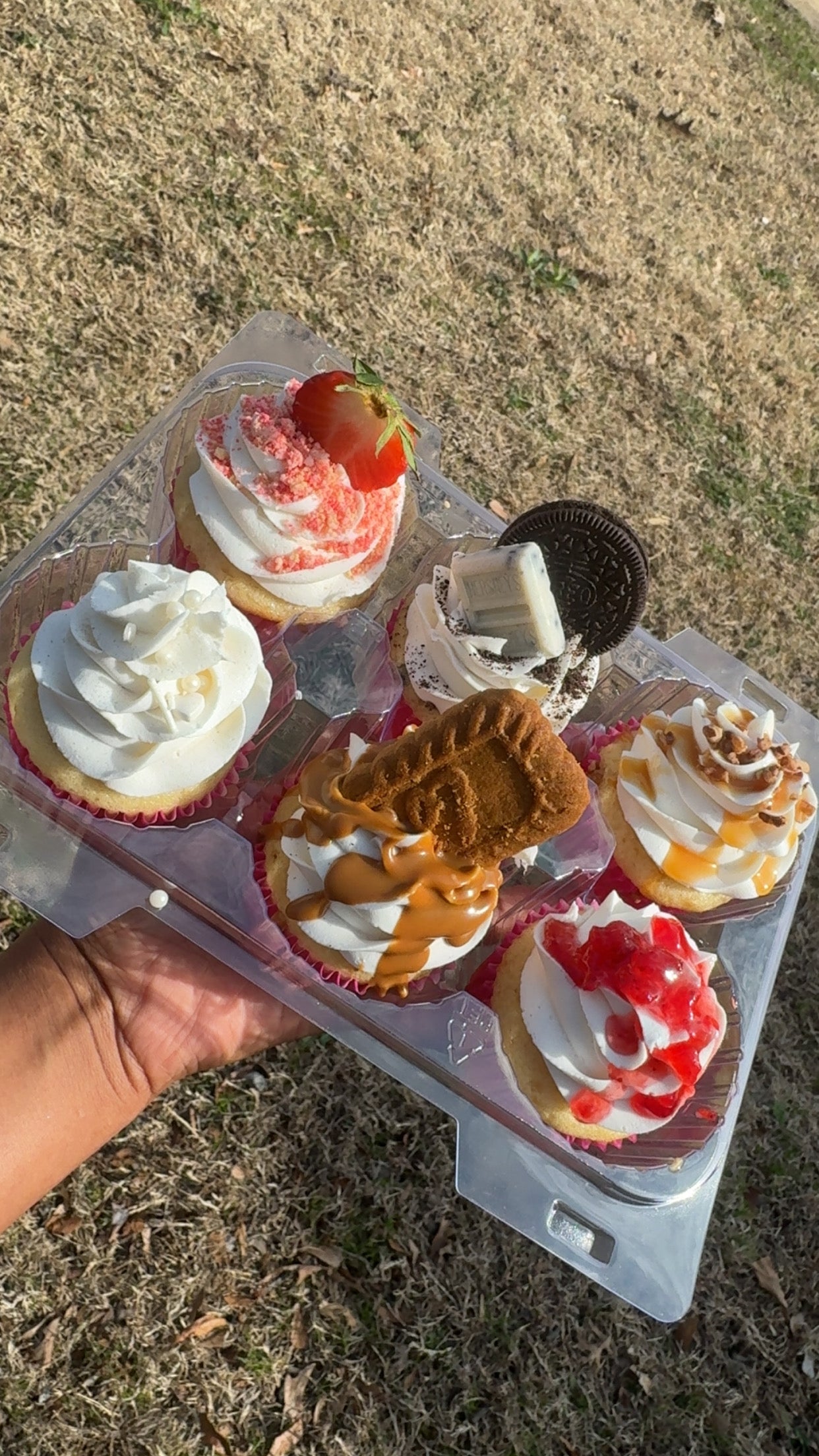 Custom Cupcakes-